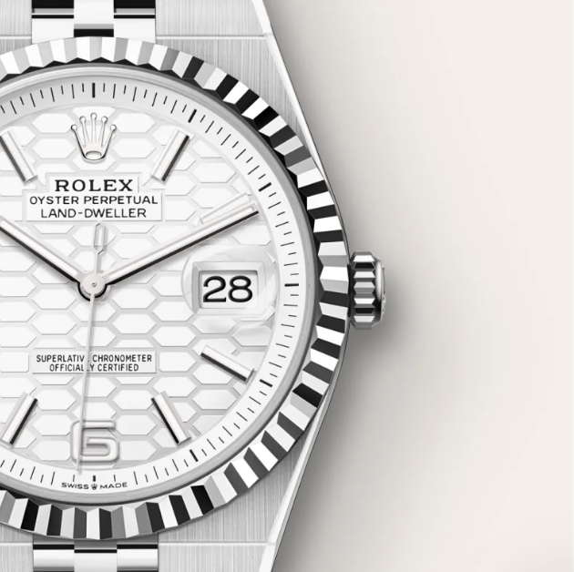 NEW 2025 Land-Dweller 90% 36 mm Oystersteel