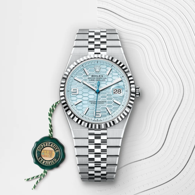 Land-Dweller 80% 40 mm steel-platinum plated