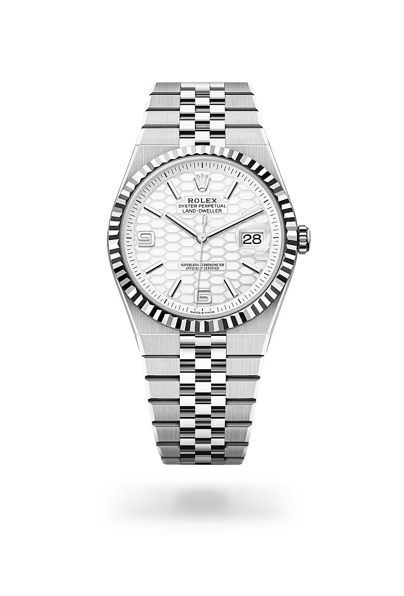 NEW 2025 Land-Dweller 90% 36 mm Oystersteel