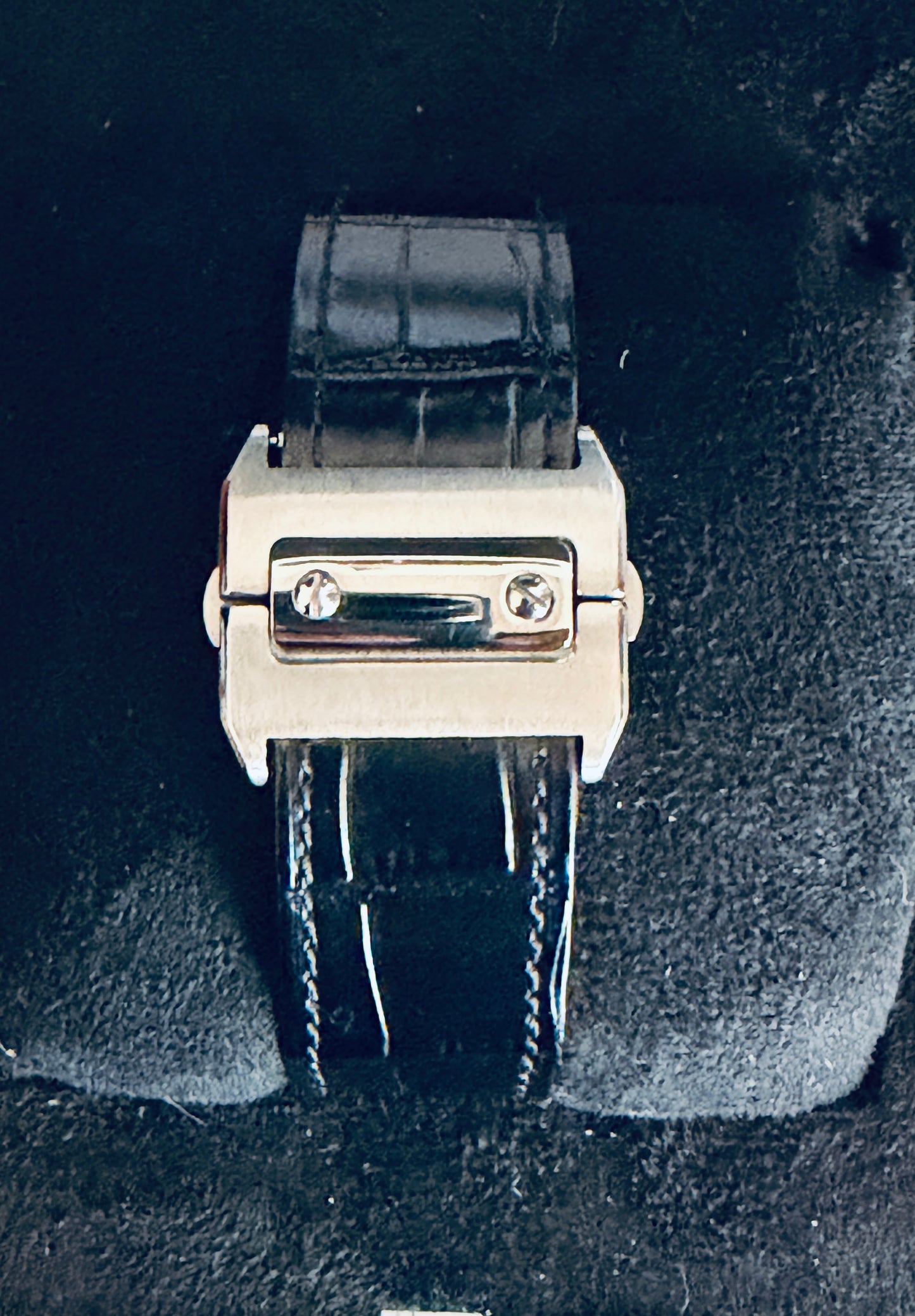 CT Santos 39.8mm WSSA0029 Black alligator leather Steel White Dial