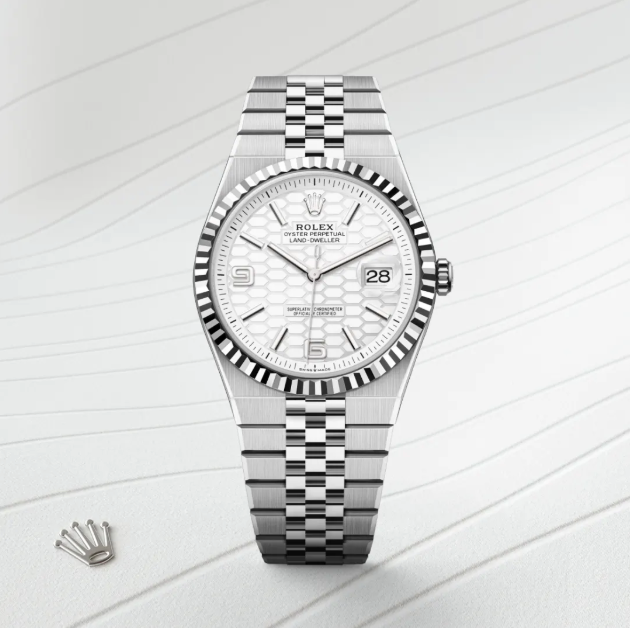 NEW 2025 Land-Dweller 90% 36 mm Oystersteel