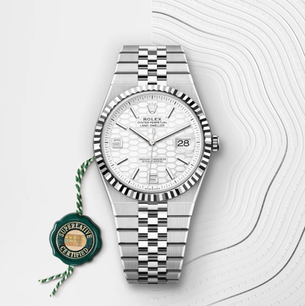 NEW 2025 Land-Dweller 90% 36 mm Oystersteel
