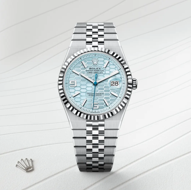 Land-Dweller 80% 40 mm steel-platinum plated
