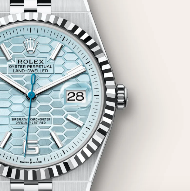 Land-Dweller 80% 40 mm steel-platinum plated