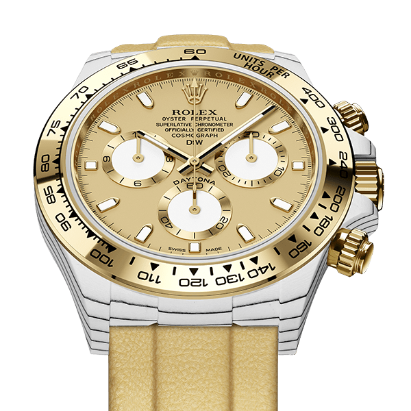 Dw Daytona 41 mm Oyster samlet i Golden Essence