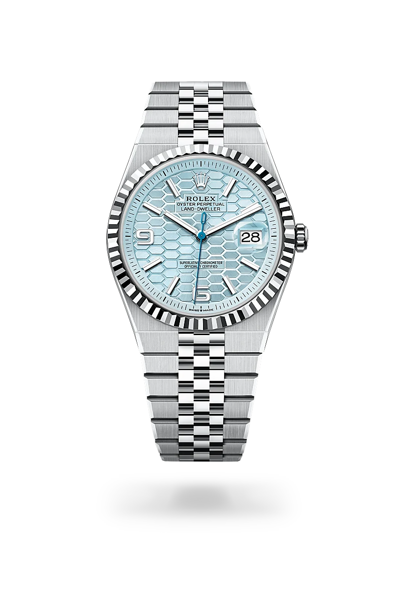 Land-Dweller 80% 40 mm steel-platinum plated