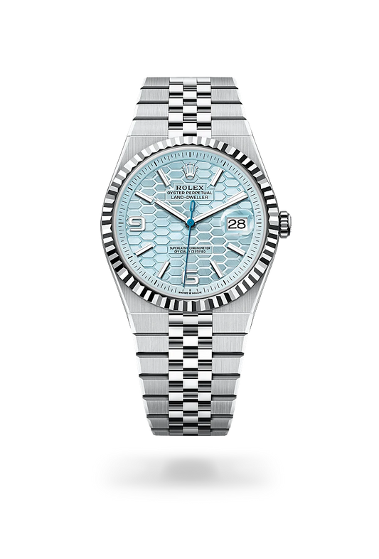 Land-Dweller 80% 40 mm steel-platinum plated